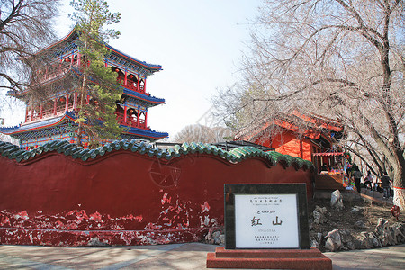 乌鲁木齐地标建筑乌鲁木齐红山公园背景