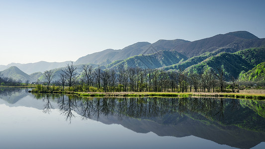 湖北神农架林区大九湖自然风景背景图片