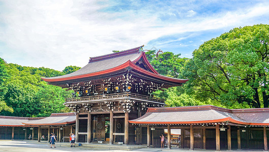 绿树浓荫东京明治神宫夏日风光背景