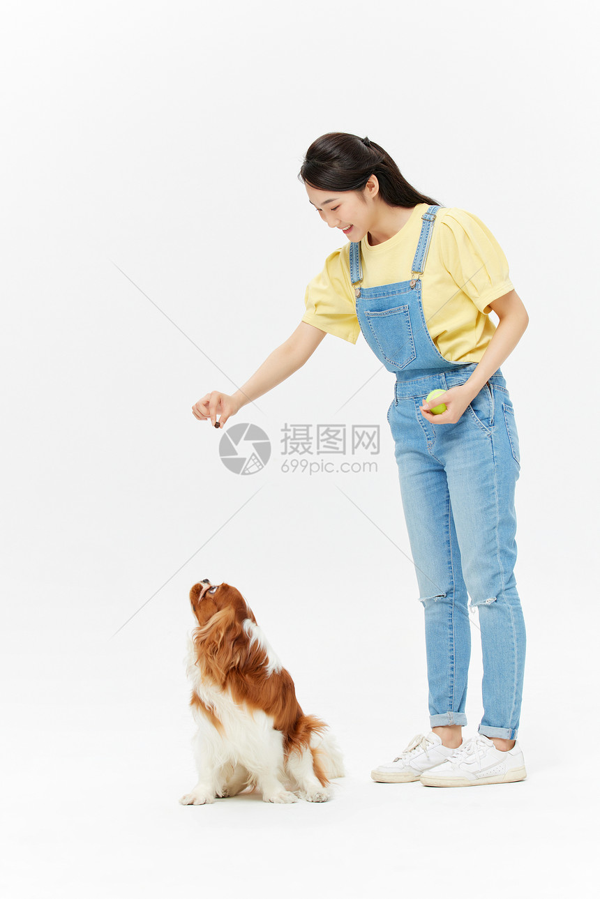 爱宠美女喂食查理王犬图片