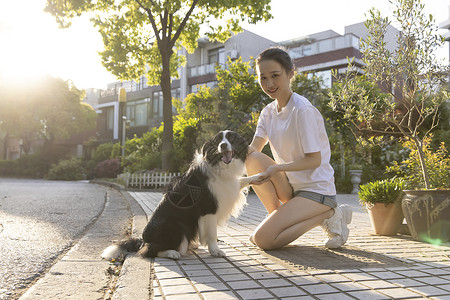 美女主人住宅区户外宠物生活图片