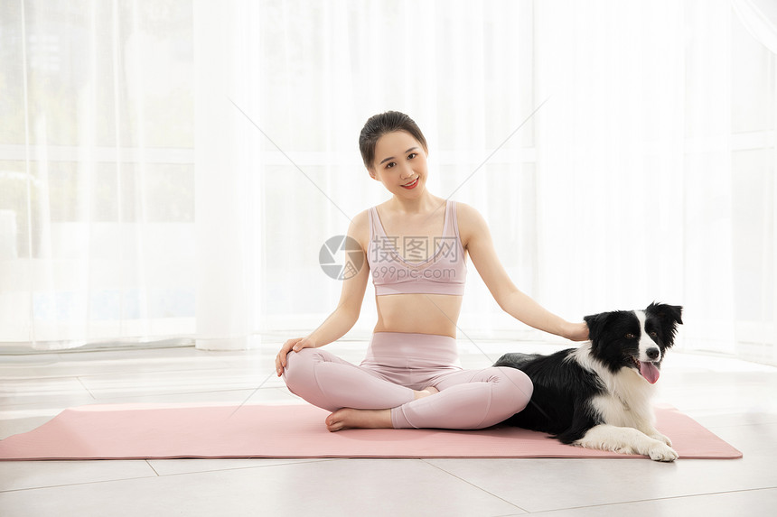 牧羊犬陪伴美女主人练瑜伽图片