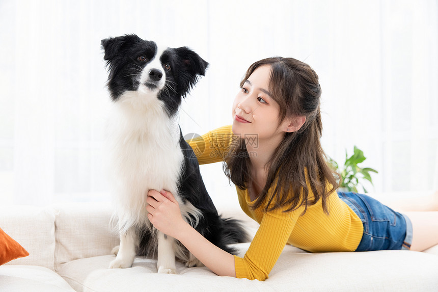 美女居家生活宠物狗狗陪伴图片