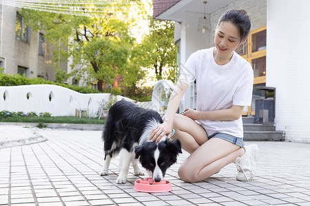 美女主人院子里喂宠物狗狗吃狗粮图片