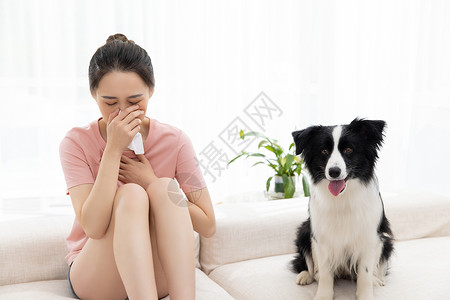 美女主人生病宠物牧羊犬陪伴图片