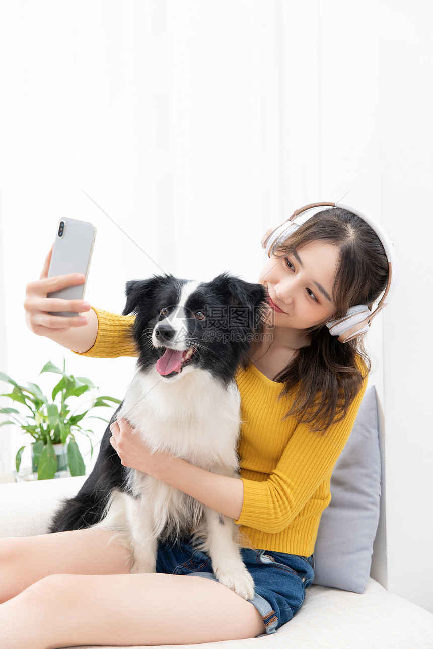 美女主人给宠物牧羊犬拍照图片