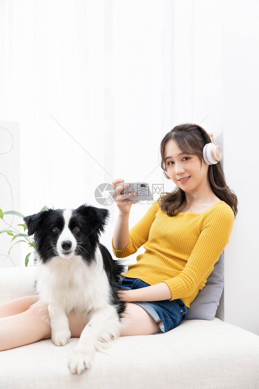 美女主人给宠物牧羊犬拍照图片