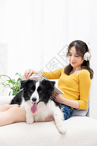 美女戴耳机看书和宠物牧羊犬相伴图片