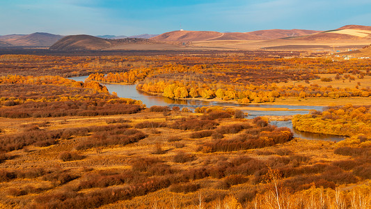 金色河流内蒙古呼伦贝尔草原额尔古纳河背景
