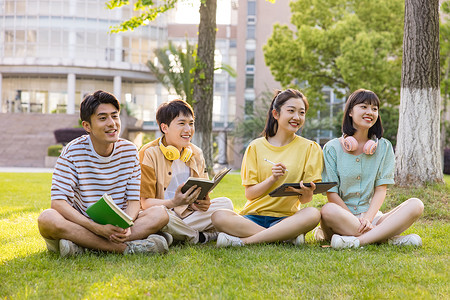 学习小组年轻大学生在草坪上讨论问题背景