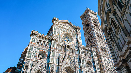 一个钟楼佛罗伦萨圣母百花大教堂背景