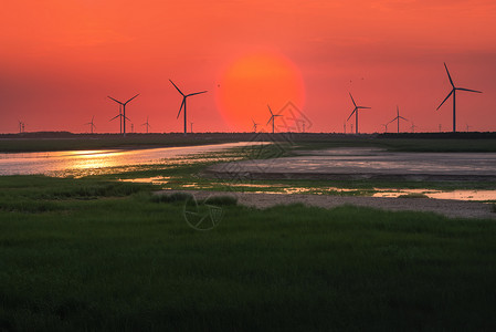 夏治正当时湿地日出东方背景