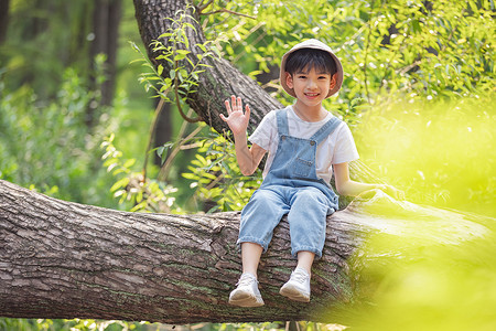 童真活泼坐在树上的小男孩图片
