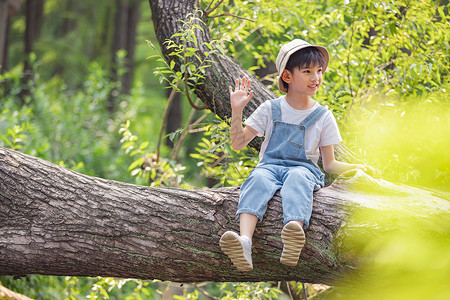 坐在树上的童真活泼小男孩图片