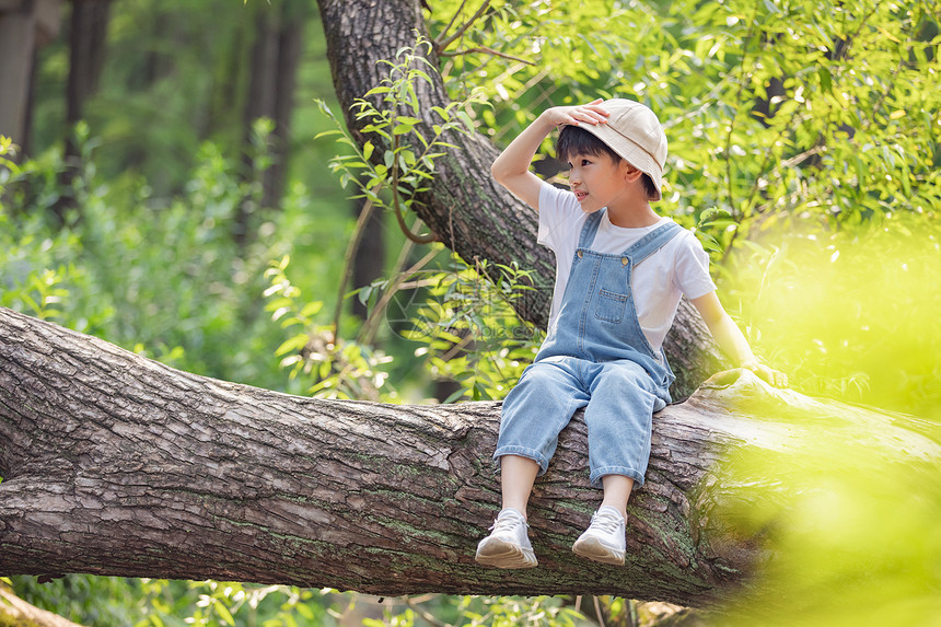 坐在树干上活泼的小男孩图片