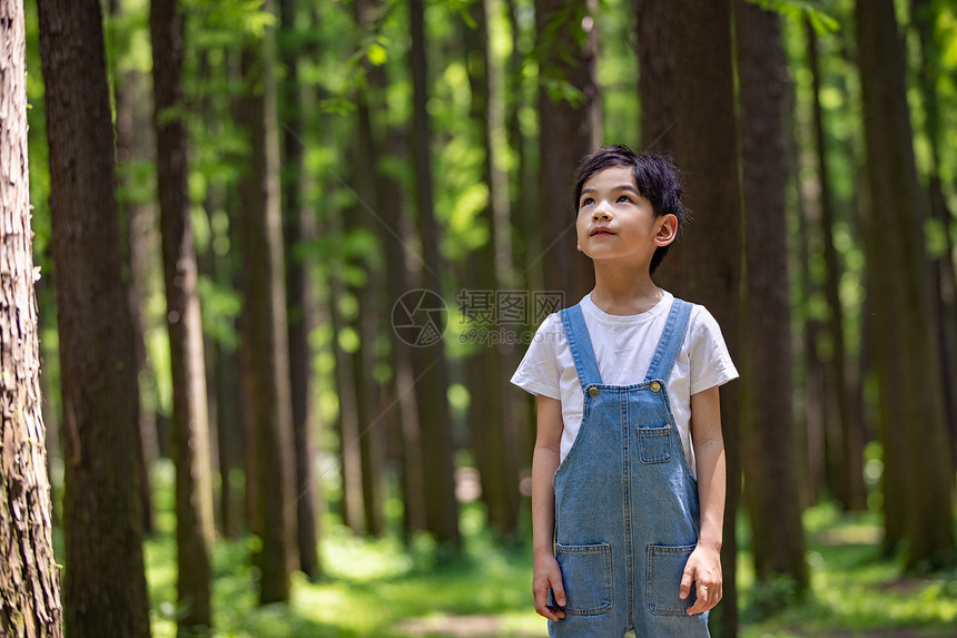 课外生活体验大自然的小男孩图片