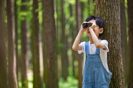 在树林里拿着望远镜的小男孩图片