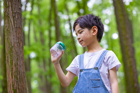 小男孩浇树树林里小男孩观察昆虫背景