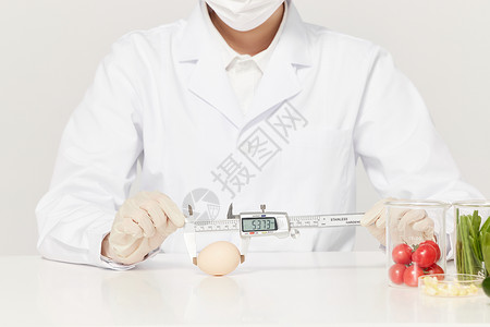 测量分析营养学家使用角尺测量鸡蛋长度背景