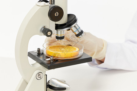 看着食物营养师显微镜观察食物特写背景