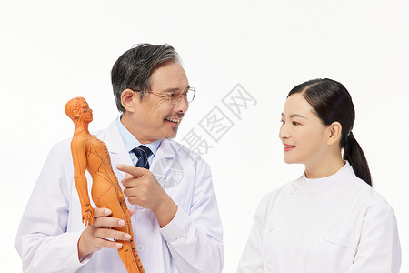 老中医拿人体模型为女护士讲解中医穴位图片