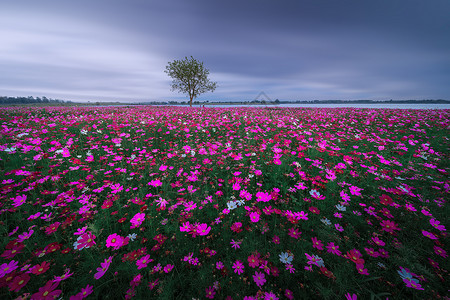 极简风景极简写意风光背景