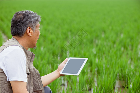 科学种植的农民背景图片