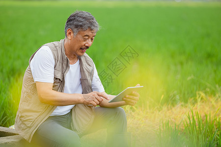 在田边使用电脑观察水稻的农民图片