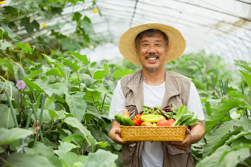 蔬菜大棚手捧蔬菜的农民大叔图片