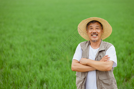 科学养殖站在稻田里的农民形象背景