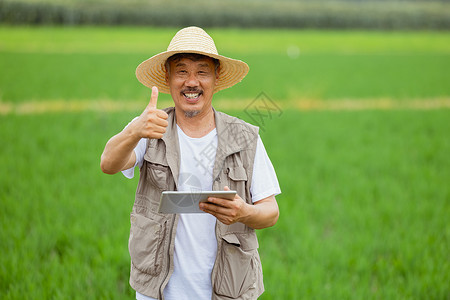 科学养殖站在稻田里的农民手拿平板电脑点赞背景