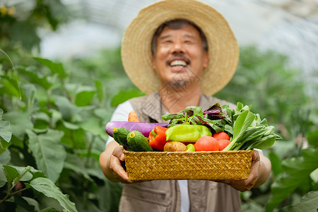 收获蔬菜开心的农民图片
