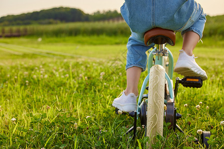 小男孩户外草坪上骑自行车背影高清图片