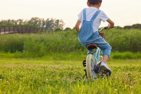 骑车郊游的孩子小男孩户外草坪上骑自行车背景