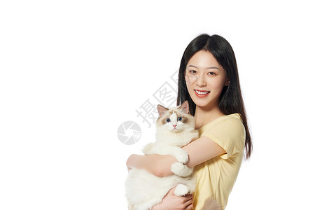 猫与人美女主人与宠物布偶猫背景