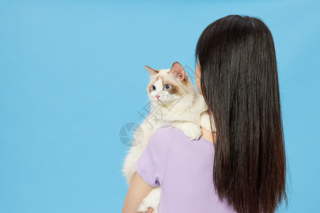 吃汤圆猫背影女性主人抱着宠物猫咪背影背景