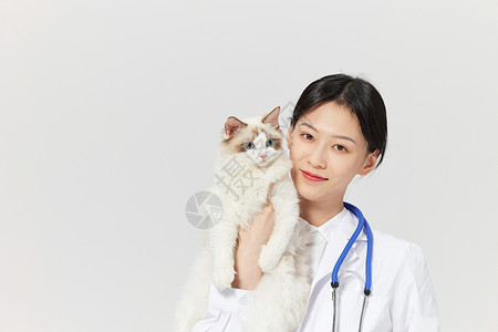 宠物医生抱着宠物猫咪高清图片