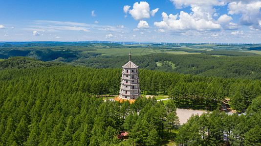 河北承德塞罕坝国家森林公园夏季风光背景图片