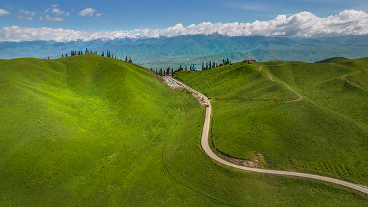 定风草航拍5A景区夏季绿色新疆那拉提大草原自然风光背景