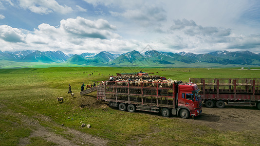图片转场航拍5A景区新疆那拉提草原牧场夏季牧民转场背景
