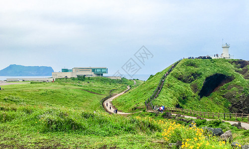 绿色海岛韩国网红景点涉地岬夏日风光背景