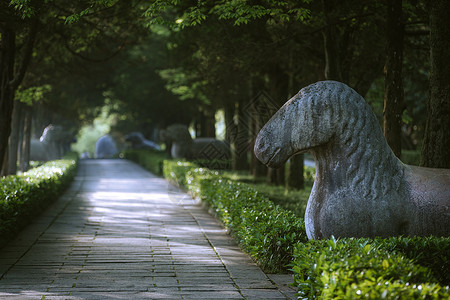 公羊石象南京明孝陵石象路背景