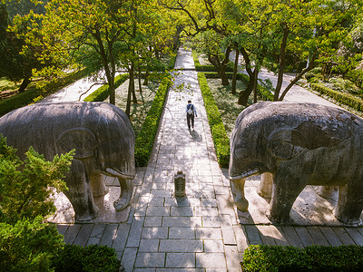 南京明孝陵石象路背景