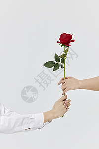 情侣男形象女性求婚送玫瑰花图片