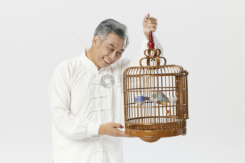 中老年男性遛鸟图片