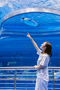 人与企鹅青年女性水族馆看企鹅背景