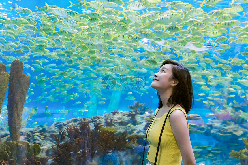 青年女性假期游玩海洋水族馆图片