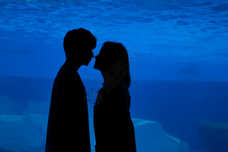 接吻剪影情侣亲密陪伴观光海洋馆剪影背景