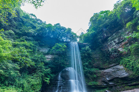 丛林全景重庆江津四面山杉子坪瀑布背景