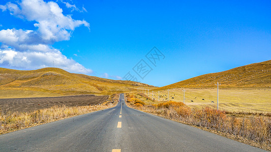 秋分草原秋天公路自驾呼伦贝尔风光背景